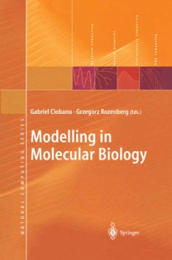 Modelling in Molecular Biology - Ciobanu, Gabriel (ed.)