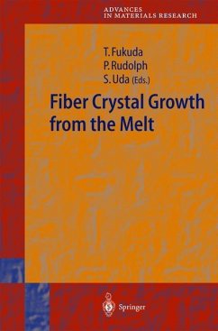 Fiber Crystal Growth from the Melt - Fukuda, Tsuguo / Rudolph, Peter / Uda, Satoshi (eds.)