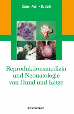 Reproduktionsmedizin und Neonatologie von Hund und Katze - Günzel-Apel, Anne-Rose;Bostedt, Hartwig