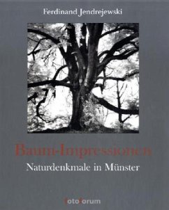 Baum-Impressionen - Jendrejewski, Ferdinand