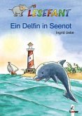 Ein Delfin in Seenot