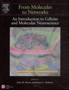 From Molecules to Networks - Byrne, John H. / Roberts, James L. (eds.)