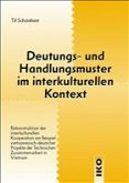 Deutungs- und Handlungsmuster im interkulturellen Kontext