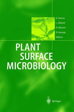 Plant Surface Microbiology - Varma, Ajit / Abbott, Lynette / Werner, Dietrich / Hampp, Rüdiger (eds.)