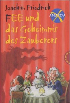 Cover Fee und das Geheimnis des Zauberers / Amanda X Bd.6