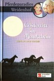 Geisterritt im Mondschein / Pferdeparadies Weidenhof Bd.8