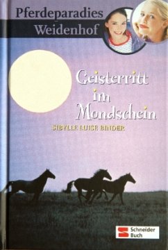 Geisterritt im Mondschein / Pferdeparadies Weidenhof Bd.8 - Binder, Sibylle L.