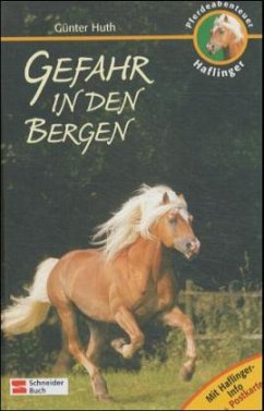 Gefahr in den Bergen - Huth, Günter