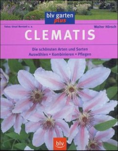 Clematis - Hörsch, Walter