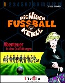 Die wilden Fußballkerle, Abenteuer in den Graffitiburgen, 1 CD-ROM
