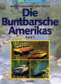 Die Buntbarsche Amerikas