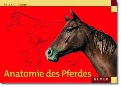 Anatomie des Pferdes - Goody, Peter C.