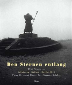 Cover Den Sternen entlang