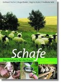 Schafe: Das Fotobuch für die Praxis Fischer, Gerhard; Rieder, Hugo; Kuhn, Regina und Volk, Fridhelm