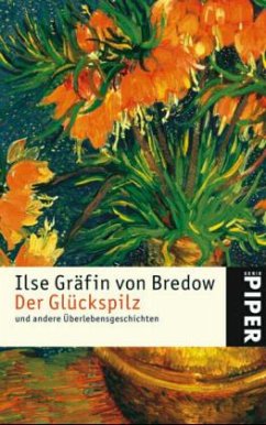 Der Glückspilz - Bredow, Ilse Gräfin von