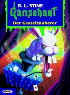 Der Gruselzauberer - Stine, Robert L.