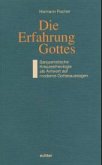 Die Erfahrung Gottes