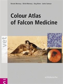 Colour Atlas of Falcon Medicine - Wernery, Renate;Wernery, Ulrich;Kinne, Jörg