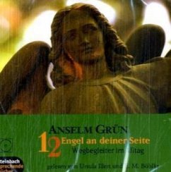 12 Engel an deiner Seite, 1 Audio-CD - Grün, Anselm