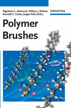 Polymer Brushes - Advincula; Brittain; Caster