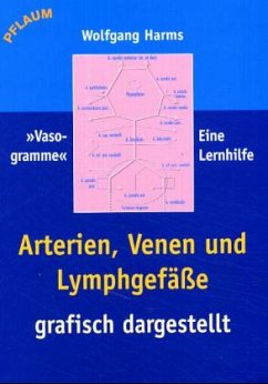 Cover Arterien, Venen und Lymphgefäße grafisch dargestellt