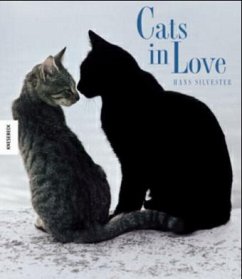 Cats in Love - Silvester, Hans W.