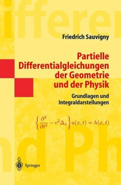 Partielle Differentialgleichungen der Geometrie und der Physik 1 - Sauvigny, Friedrich