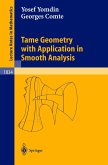 Tame Geometry with Application in Smooth Analysis