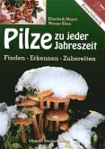 Pilze zu jeder Jahreszeit