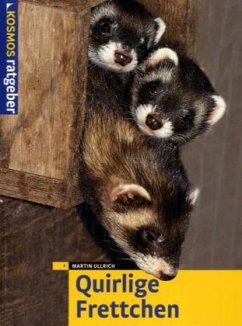 Cover Quirlige Frettchen