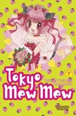 Tokyo Mew Mew Bd.7