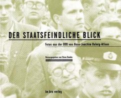 Cover Der staatsfeindliche Blick