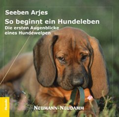 So beginnt ein Hundeleben - Arjes, Seeben