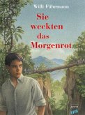 Sie weckten das Morgenrot / Die Fink-Saga Bd.1 (VIVA)