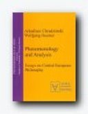 Phenomenology and Analysis