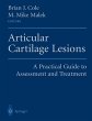 Articular Cartilage Lesions - Bild 1