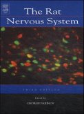 The Rat Nervous System