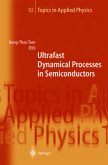 Ultrafast Dynamical Processes in Semiconductors