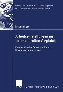 Arbeitseinstellungen im interkulturellen Vergleich - Kern, Mathias