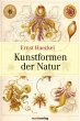Kunstformen der Natur - Bild 1