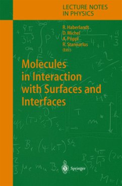 Molecules in Interaction with Surfaces and Interfaces - Haberlandt, Reinhold / Michel, Dieter / Pöppl, Andreas / Stannarius, Ralf (eds.)
