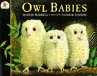 Owl Babies - Bild 1