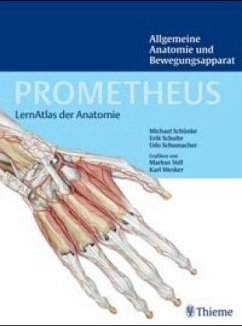Allgemeine Anatomie und Bewegungssystem/Prometheus - Schulte, Erik; Schumacher, Udo; Schünke, Michael