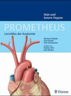 Hals und Innere Organe/Prometheus - Schulte, Erik; Schumacher, Udo; Schünke, Michael