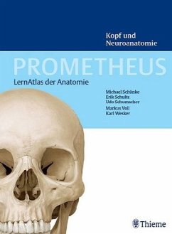 Kopf und Neuroanatomie - Schünke, Michael; Schulte, Erik; Schumacher, Udo