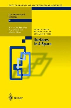 Surfaces in 4-Space - Carter, S.;Kamada, S.;Saito, M.