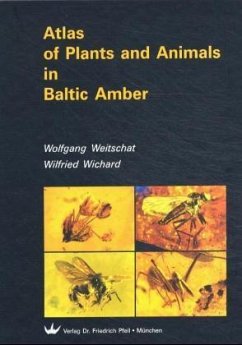 Atlas of Plants and Animals in Baltic Amber