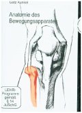 Anatomie des Bewegungsapparates, 1 DVD