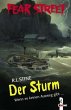 Der Sturm - Bild 1
