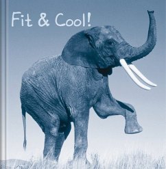 Cover Fit & Cool!